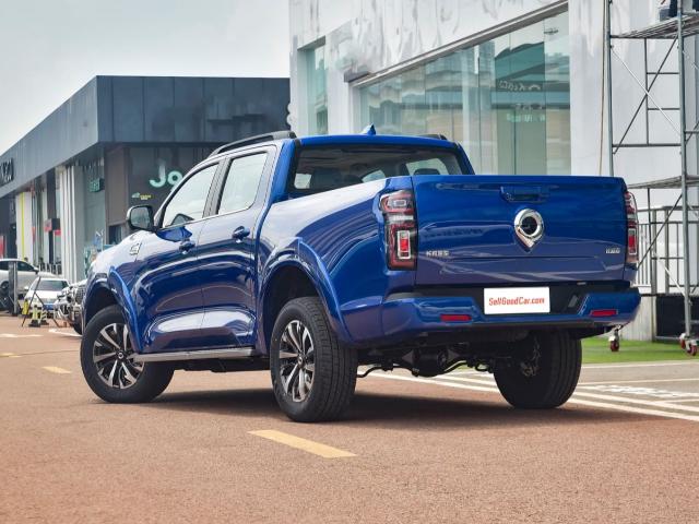 GWM POER Ride Version - SellGoodCar.Com