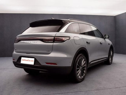 Leapmotor C11 - SellGoodCar.Com
