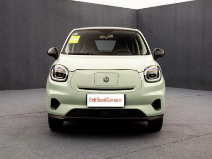 Leapmotor T03 - SellGoodCar.Com